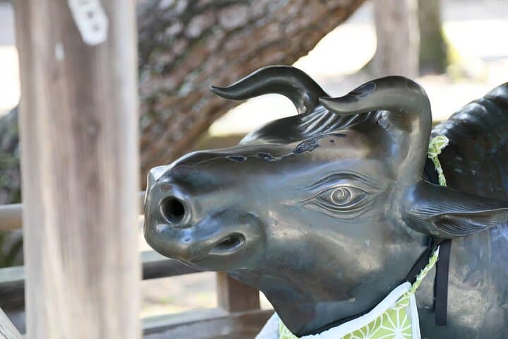 Kyoto: Discover the Oldest Geisha District, Kamishichiken — photo 8