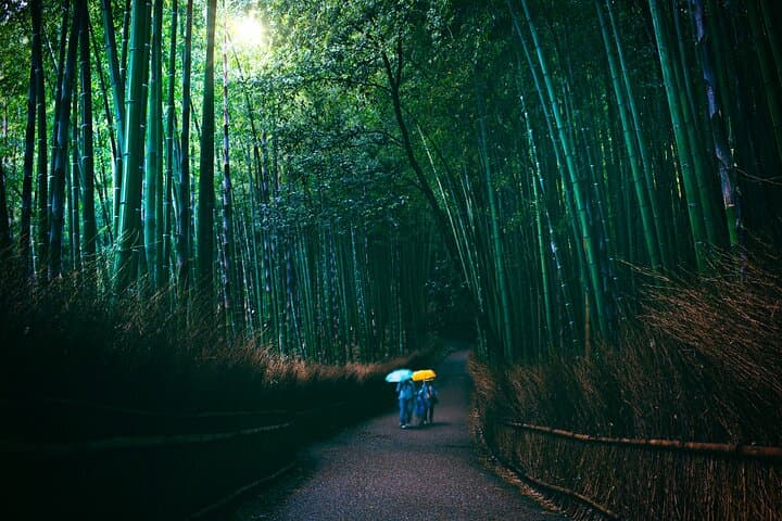 Private Kyoto and Nara Cultural Tour- English Speaking Driver — photo 3