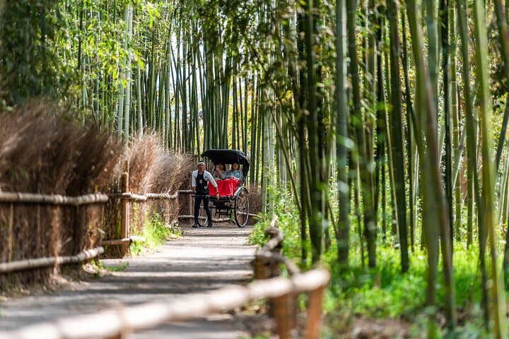Private Kyoto and Nara Cultural Tour- English Speaking Driver — photo 2