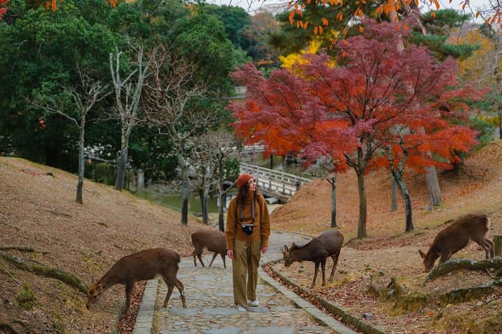 Private Kyoto and Nara Cultural Tour- English Speaking Driver — photo 13