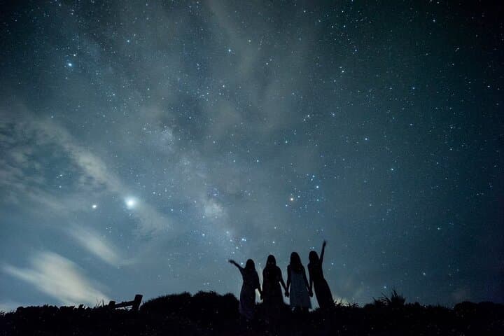 Pick-up and drop-off consultation available MIYAKO ISLAND Starry Sky and Jungle Exploration Night Safari Tour — photo 3