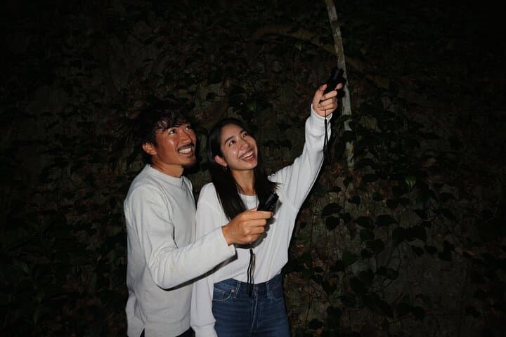 Pick-up and drop-off consultation available MIYAKO ISLAND Starry Sky and Jungle Exploration Night Safari Tour — photo 5