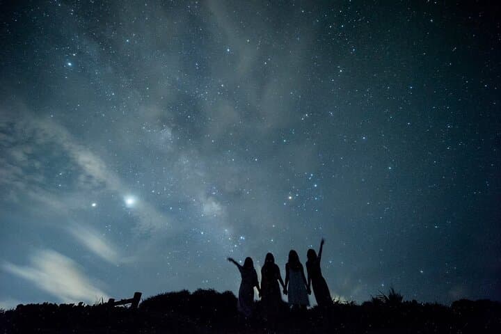 Pick-up and drop-off consultation available MIYAKO ISLAND Starry Sky and Jungle Exploration Night Safari Tour — photo 6