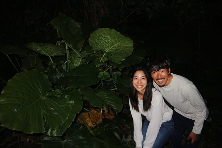 Pick-up and drop-off consultation available MIYAKO ISLAND Starry Sky and Jungle Exploration Night Safari Tour — photo 7