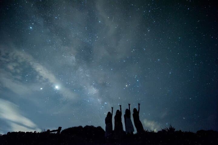 Pick-up and drop-off consultation available MIYAKO ISLAND Starry Sky and Jungle Exploration Night Safari Tour — photo 20