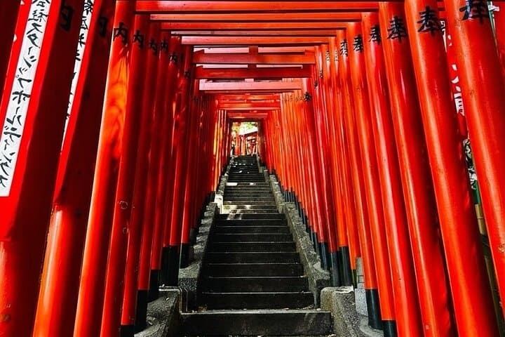Private Tokyo Feng Shui Secrets Red Torii and Shibuya