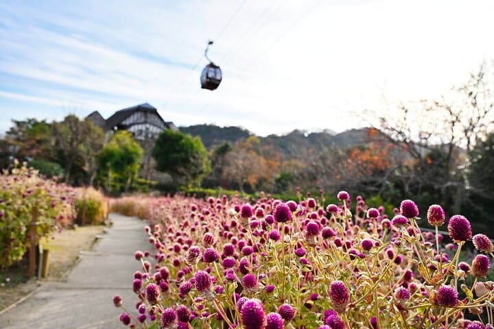Kobe Nunobiki Herb Garden Premium Guided Tour — photo 4