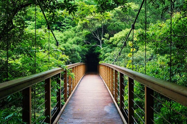 Enjoy Okinawa–Naha Your Way: Private Sightseeing & Photos Tour — photo 8