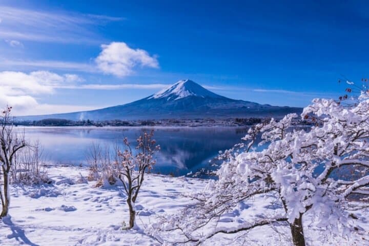 Mt. Fuji Day Trip｜5th Station, Oshino Hakkai, Ropeway with Lunch — photo 5