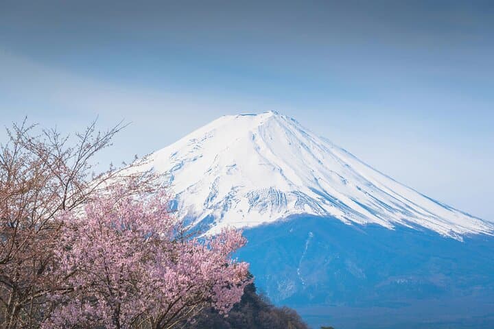 Mt. Fuji Day Trip｜5th Station, Oshino Hakkai, Ropeway with Lunch — photo 2