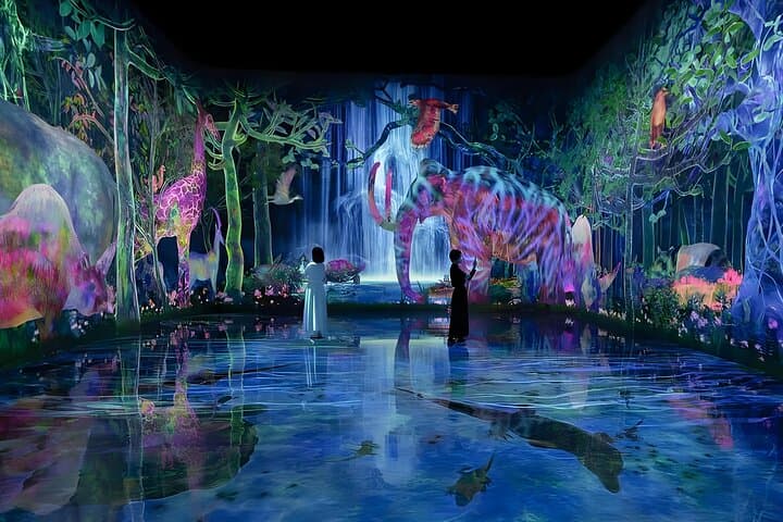 Tokyo: TeamLab Planets Admission & 24-Hour Subway Ticket — photo 1