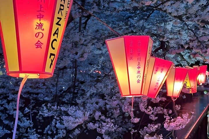 Tokyo: TeamLab Planets Admission & 24-Hour Subway Ticket — photo 3