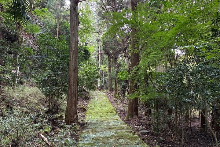 Private Rakanji Temple Tour with Transportation — photo 12