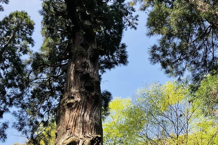Mount Hiko Sacred Mountain Pilgrimage Hike and Yamabushi History — photo 20