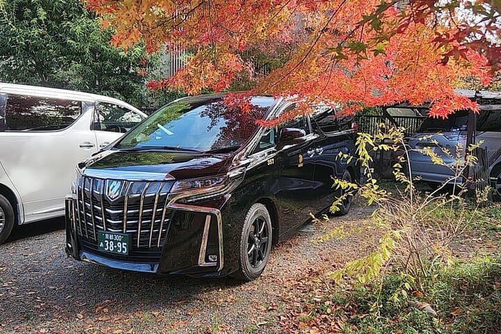 Kyoto Heritage Sites Shared Van Tour — photo 1