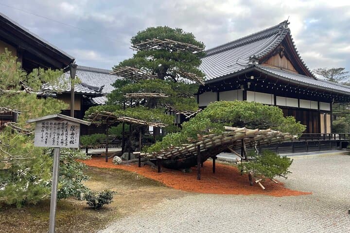 Private Tours by Luxurious Vans in Kyoto, Osaka, Nara. — photo 4