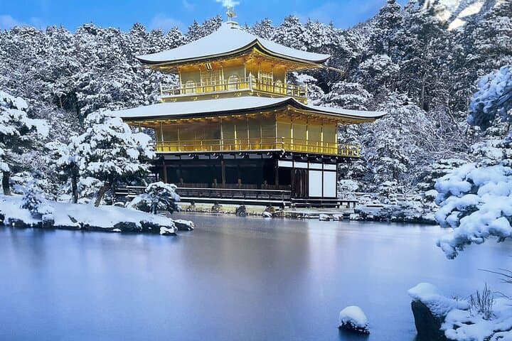 Private Tours by Luxurious Vans in Kyoto, Osaka, Nara. — photo 7