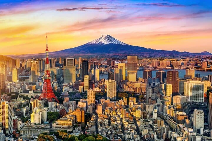 Tokyo Private Tour by Car with English-Speaking Driver (Premium) — photo 8