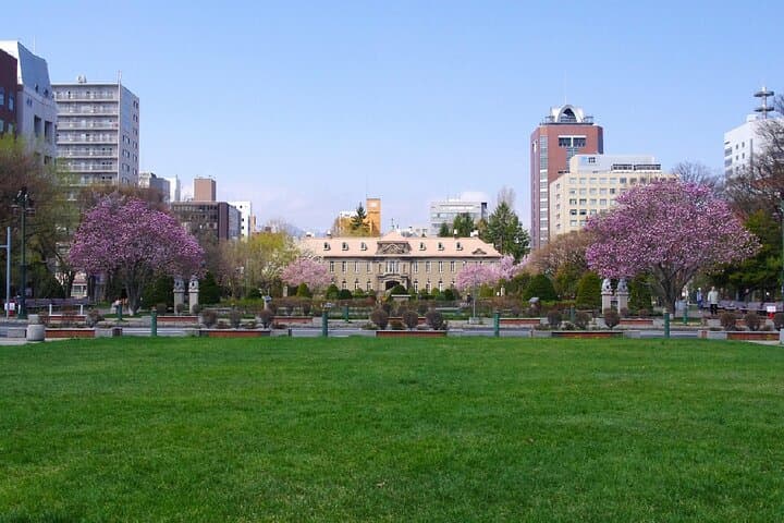 Sapporo Walking Tour: Explore Top Sights & Hidden Gems — photo 4