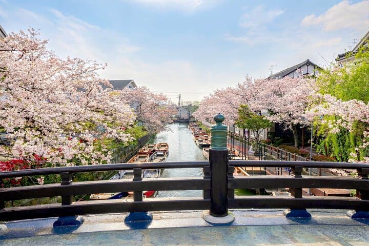 Yanagawa, Strawberry/Matcha Experience & Ukiha-Inari from Fukuoka — photo 13
