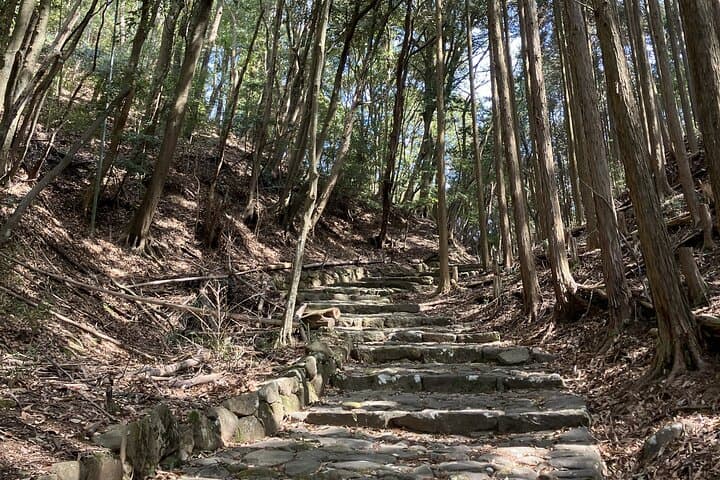 Mount Hiko Sacred Mountain Pilgrimage Hike and Yamabushi History — photo 10
