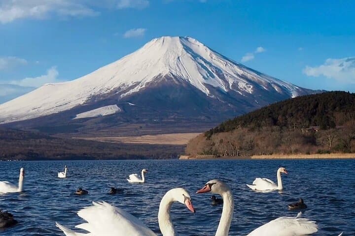 Private Custom Day Tour from Tokyo Mt Fuji Hakone and Nikko — photo 2