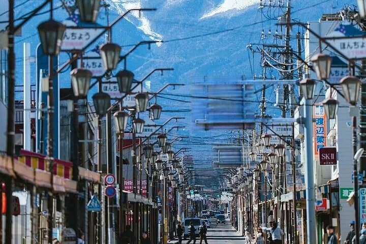 Private Custom Day Tour from Tokyo Mt Fuji Hakone and Nikko — photo 4