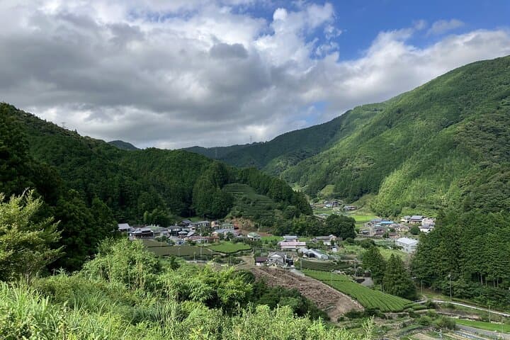 Tea & Soba Experience at a Farmer’s Home —Solo Traveler Welcome — photo 4