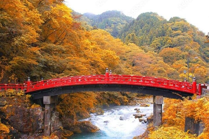 Day Tour at Nikko Toshogu Shrine and Kegon Waterfall — photo 9