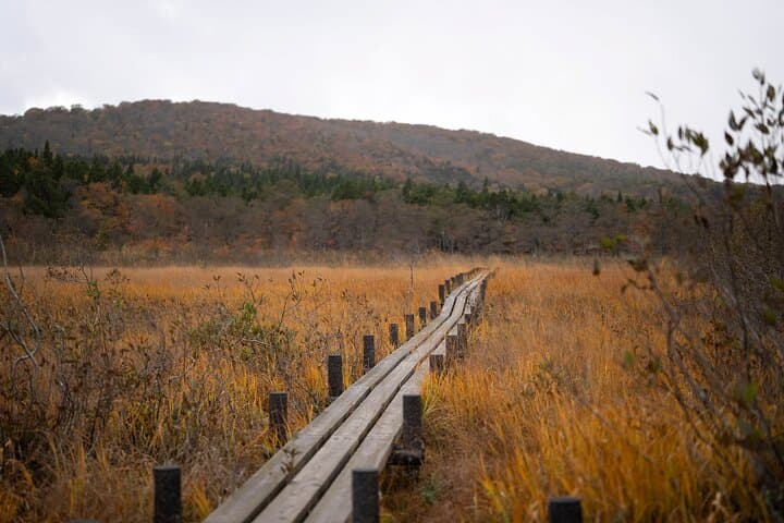 Kurikoma Kodo Ancient Trail Trekking 1000 Years of History — photo 6
