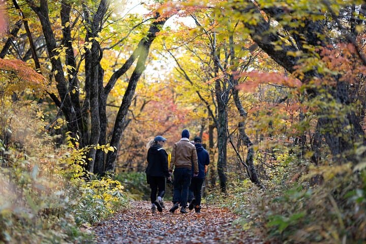 Kurikoma Kodo Ancient Trail Trekking 1000 Years of History — photo 3
