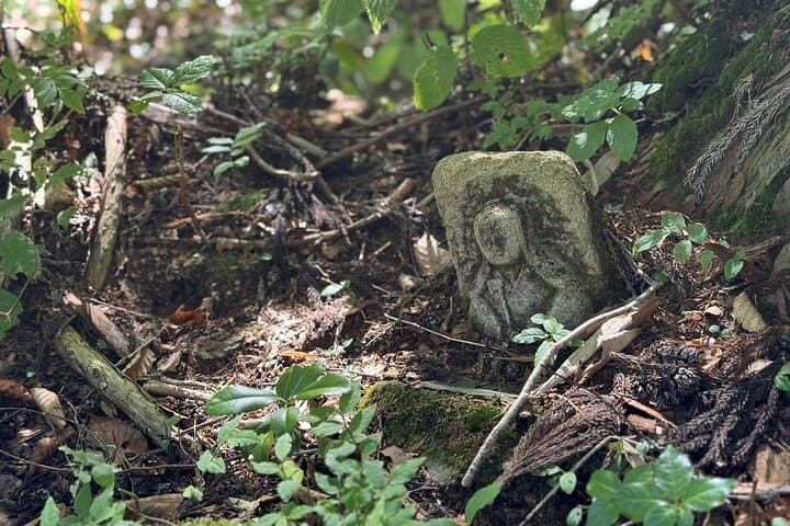 Kurikoma Kodo Ancient Trail Trekking 1000 Years of History — photo 8