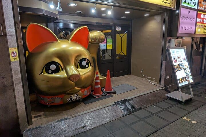 Osaka Walking Tour - Explore the Vibrant Downtown — photo 12