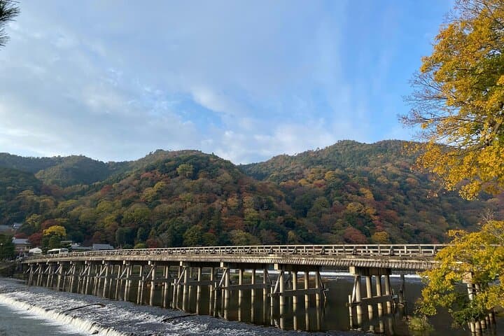 Kyoto: Arashiyama Highlights and Monkey Park in 3 Hours — photo 5