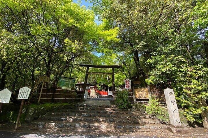 Kyoto: Arashiyama Highlights and Monkey Park in 3 Hours — photo 7