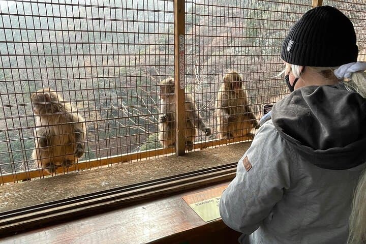 Kyoto: Arashiyama Highlights and Monkey Park in 3 Hours — photo 8