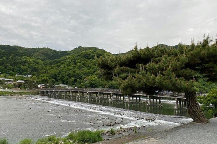 Kyoto: Arashiyama Highlights and Monkey Park in 3 Hours — photo 9