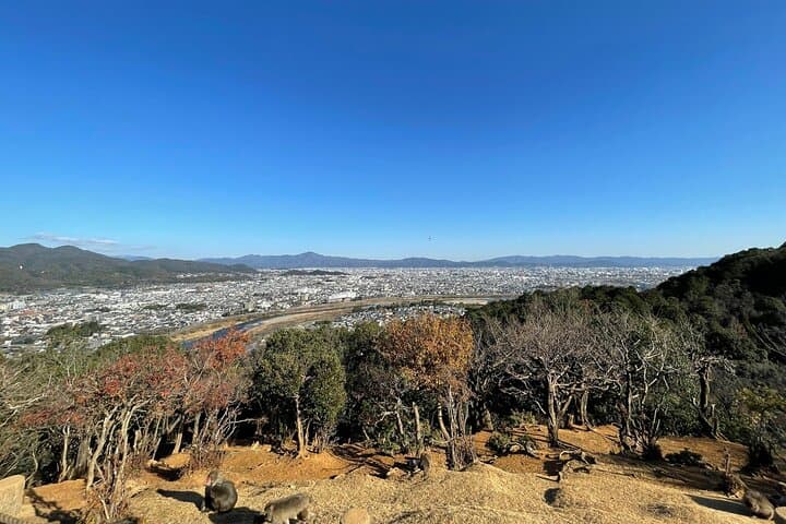 Kyoto: Arashiyama Highlights and Monkey Park in 3 Hours — photo 10