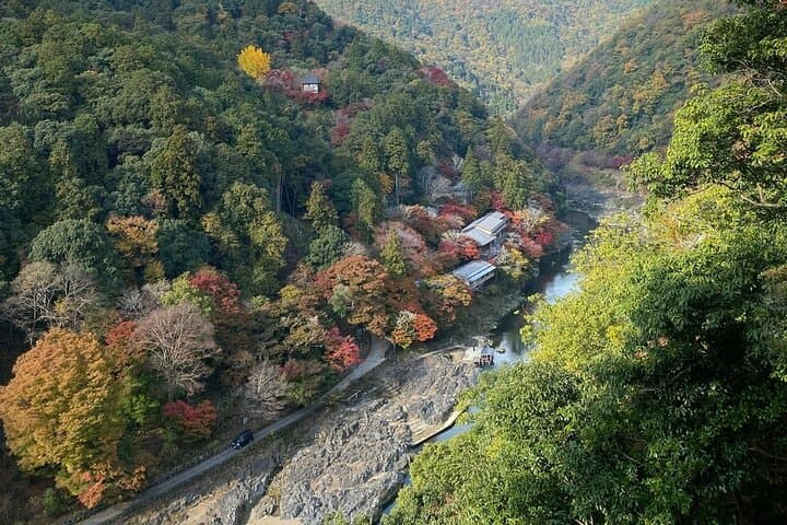 Kyoto: Arashiyama Highlights and Monkey Park in 3 Hours — photo 6