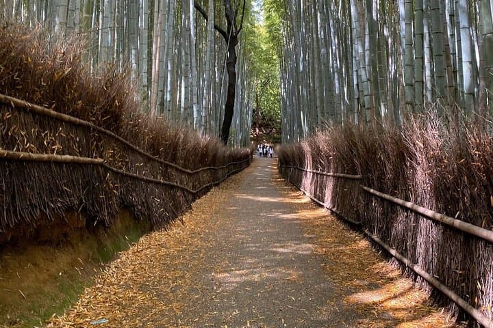 Kyoto: Arashiyama Highlights and Monkey Park in 3 Hours — photo 12