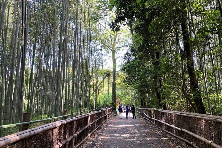 Kyoto: Arashiyama Highlights and Monkey Park in 3 Hours — photo 15