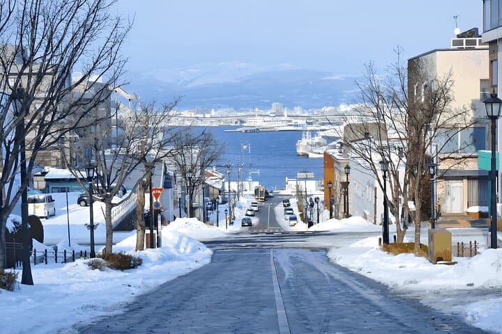Sapporo Private Tour: Asahiyama Zoo, Ramen Village & Sake Brewery — photo 5