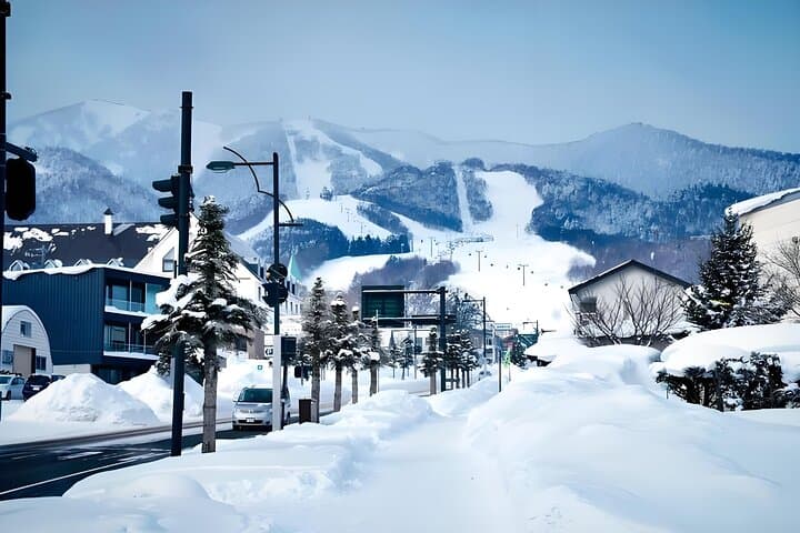 Sapporo Private Tour: Asahiyama Zoo, Ramen Village & Sake Brewery — photo 4