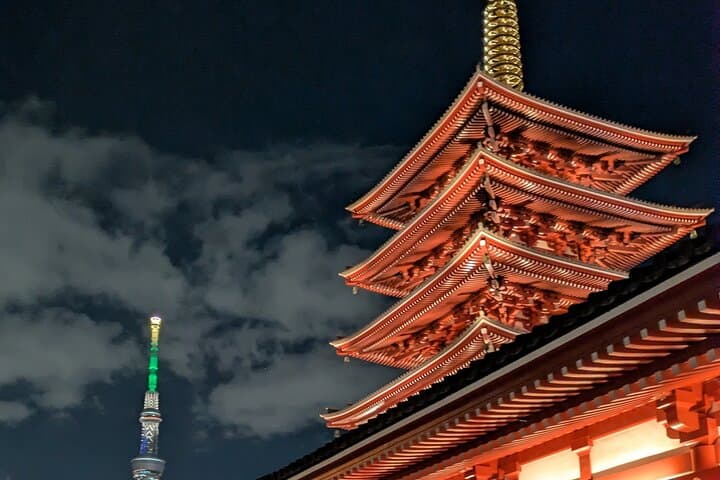 Night town and Cherry Light-up tour and Modern Samurai show — photo 2