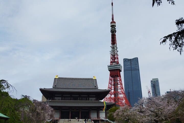 Tour the Heart of Tokyo - With Tokyo Tower Tickets
