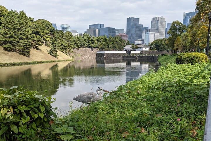 Tour the Heart of Tokyo - With Tokyo Tower Tickets — photo 7