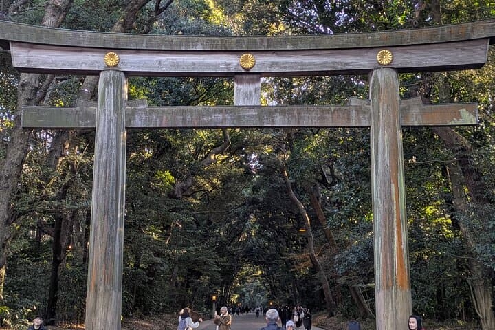 Meiji Jingu Shrine and Park Tour — photo 1