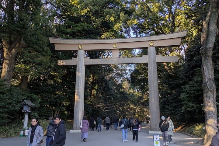 Meiji Jingu Shrine and Park Tour — photo 2