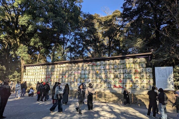 Meiji Jingu Shrine and Park Tour — photo 3
