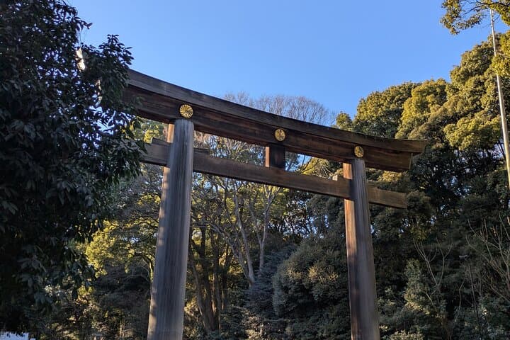 Meiji Jingu Shrine and Park Tour — photo 5